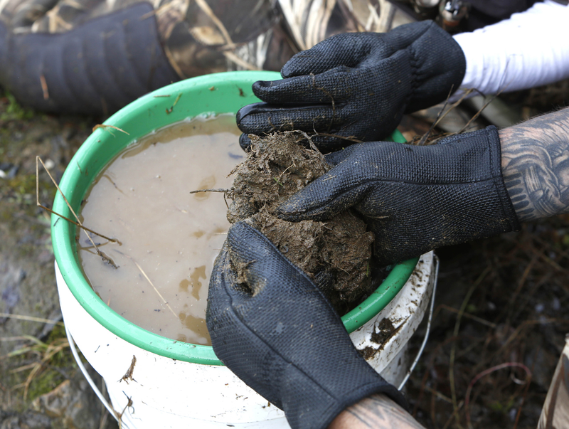 Illustration for article titled Why California's Drought Is Good News for Gold Prospectors